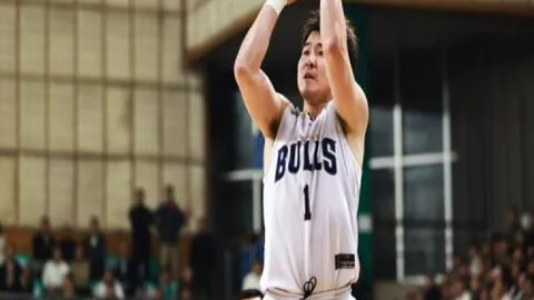 米堡英冠主场战伤病关键，专家推荐质合分析期号前瞻